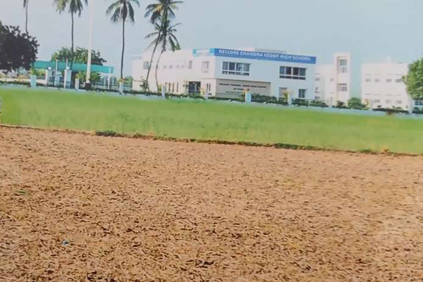 Agri Land for sale in Sivakasi