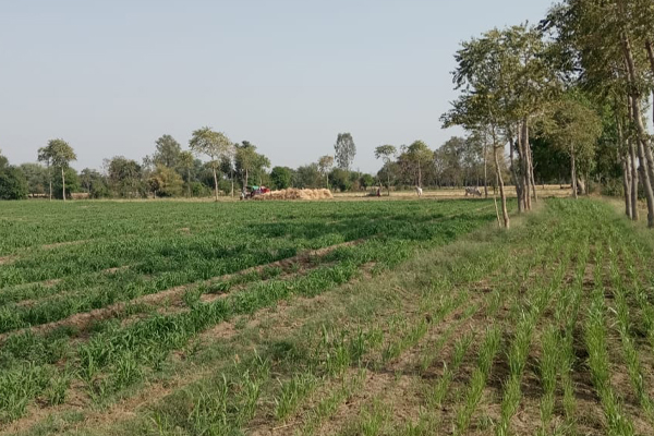 Agri Land for sale in Sivakasi